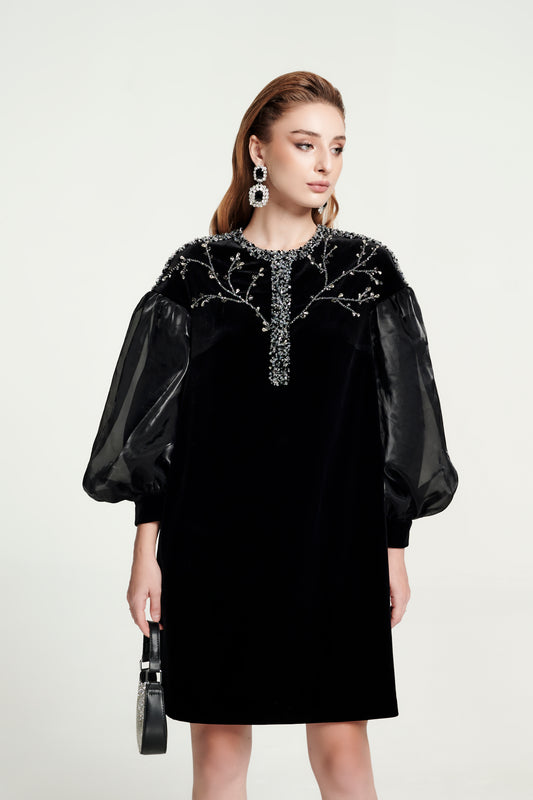 Black Velvet A-Line Dress with Sheer Puff Sleeves and Beaded Embroidery