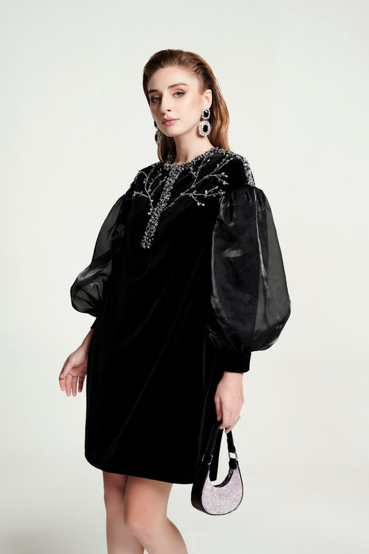 Black Velvet A-Line Dress with Sheer Puff Sleeves and Beaded Embroidery